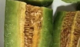 吃西湖瓜的网红叫什么,揭秘瓜界新宠背后的故事