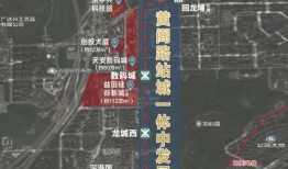 深圳爆料最新消息,揭秘城市热点事件背后的真相