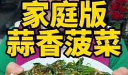阿姨爆料重庆美食视频,重庆美食视频中的地道风味大揭秘