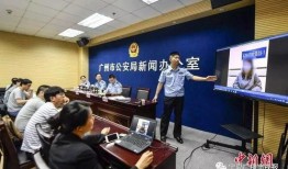 广州高校爆料案件最新情况,真相渐明，校园安全再引关注