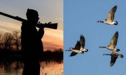 新闻爆料临沂大雁哥事件,爱心传递引发社会关注