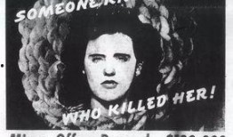 黑色大丽花在线观看,暗夜中的惊悚悬疑之旅