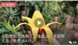 吃瓜卖货视频大全下载免费,免费下载，轻松get潮流购物新体验！