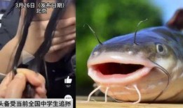 韩国鲶鱼爆料视频播放下载,独家播放下载解析