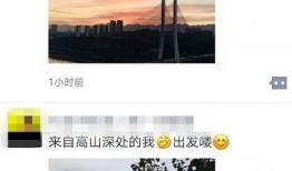 晨曦被爆料视频在线观看,独家在线观看，揭秘幕后真相