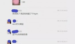 晨曦被爆料视频在线观看,独家在线观看，揭秘幕后真相