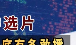 中央六套在线观看