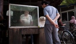 小片在线观看,揭秘网络短视频的魅力与影响