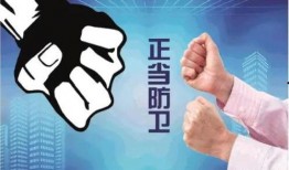 爆料冻货暴利事件案例视频,一场冰封下的财富盛宴