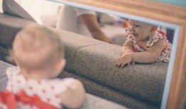 宝宝镜子爆料图片高清视频,高清视频揭秘惊人真相