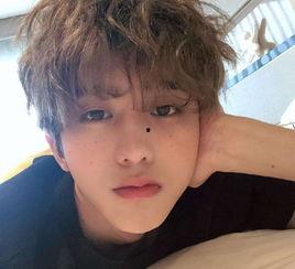 娱乐圈吃瓜白鹿蔡徐坤,白鹿与蔡徐坤的瓜界传奇